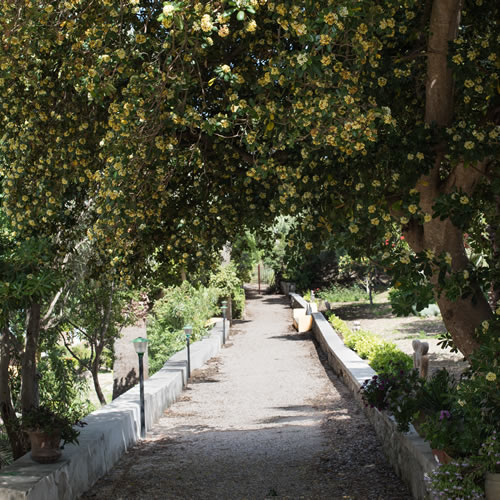 The garden of Villa Fontana Trapani