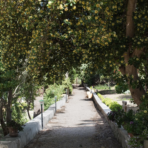 Il parco della Villa Fontana Trapani