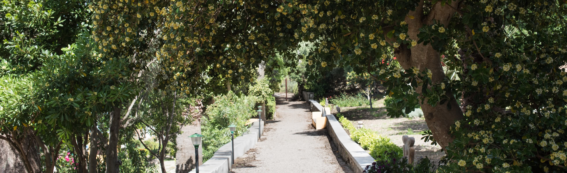 The garden of Villa Fontana Sicilia